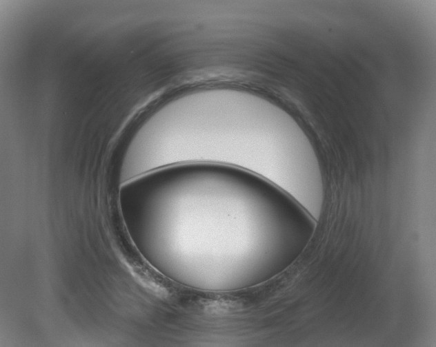 X0000082180400200701191058