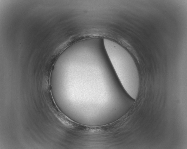 X0000082180401200701191058