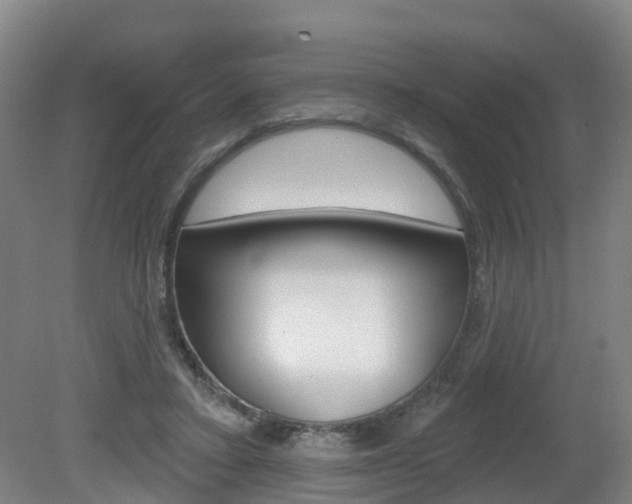 X0000082180403200701191058