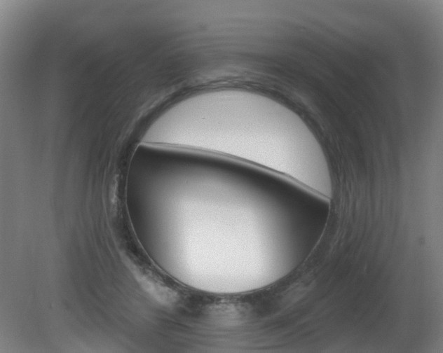 X0000082180404200701191058
