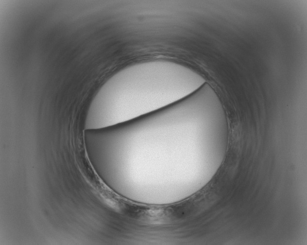 X0000082180406200701191058