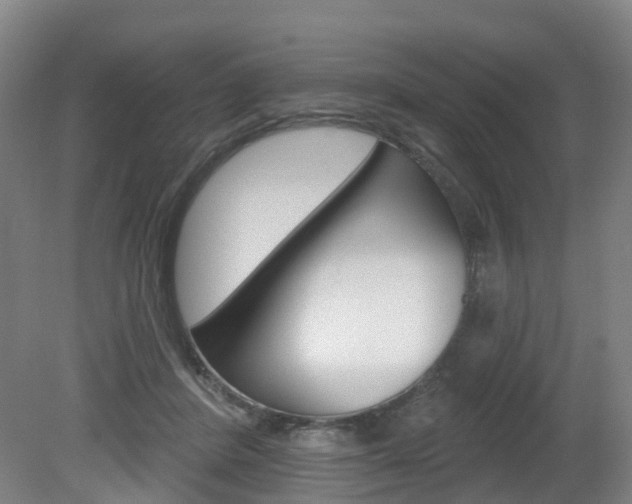 X0000082180408200701191058
