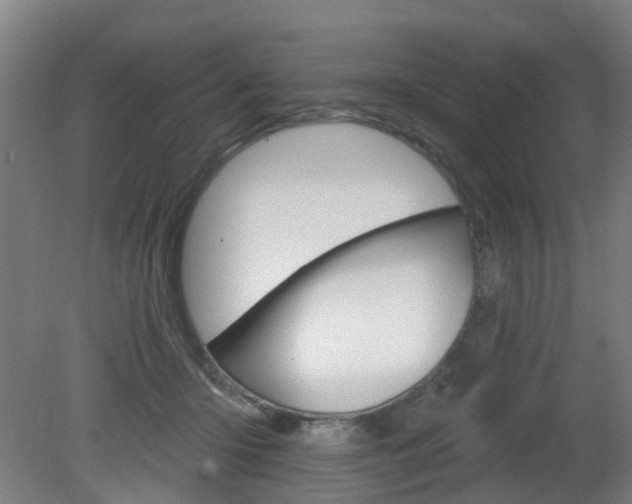 X0000082180414200701191058