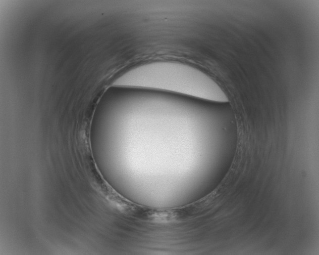 X0000082180415200701191058