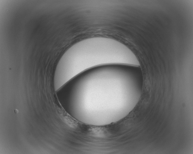 X0000082180417200701191057