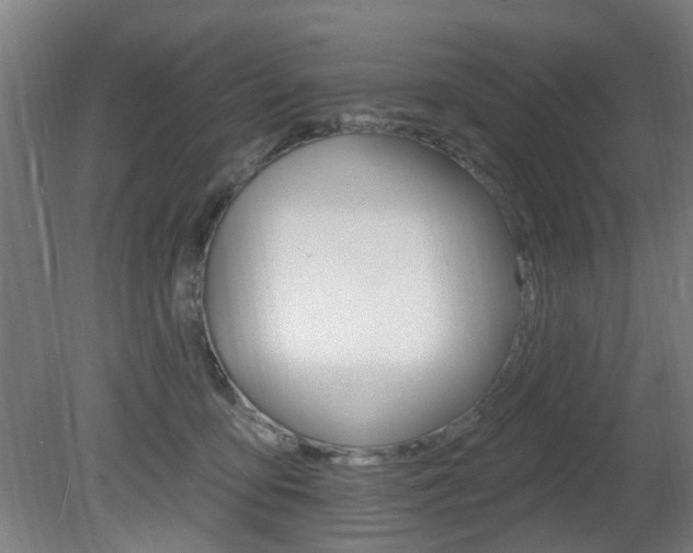 X0000082180419200701191057