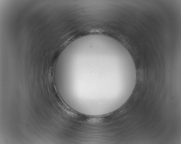 X0000082180422200701191057