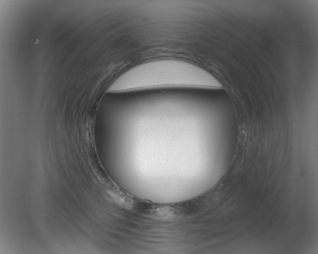 X0000082180423200701191057