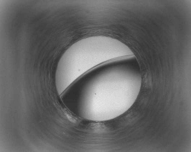 X0000082180424200701191057