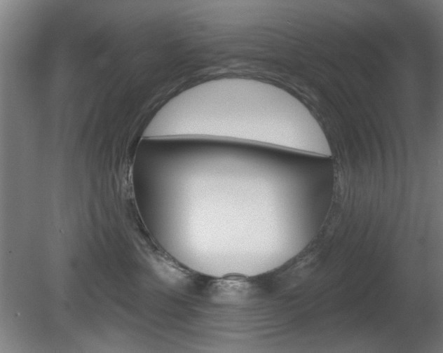 X0000082180429200701191057