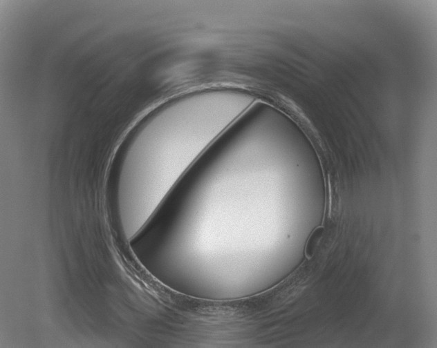 X0000082180435200701191056