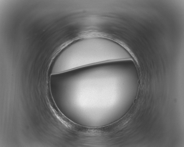 X0000082180437200701191056
