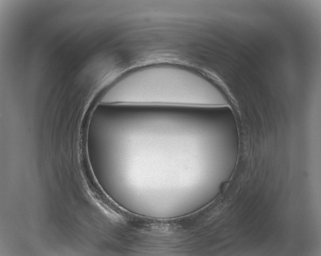 X0000082180439200701191057