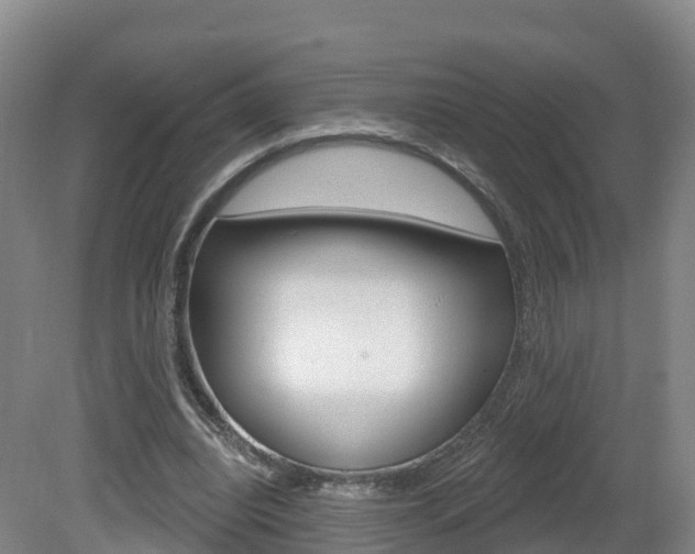 X0000082180440200701191057