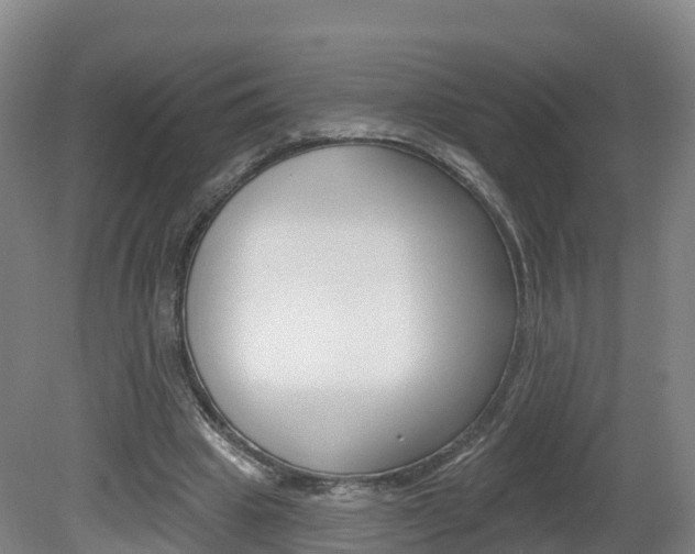 X0000082180441200701191057