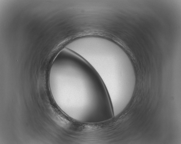 X0000082180442200701191057