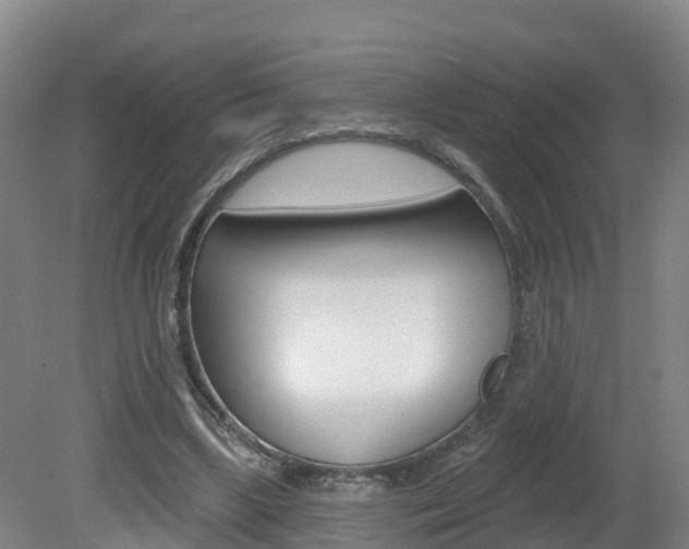 X0000082180443200701191057