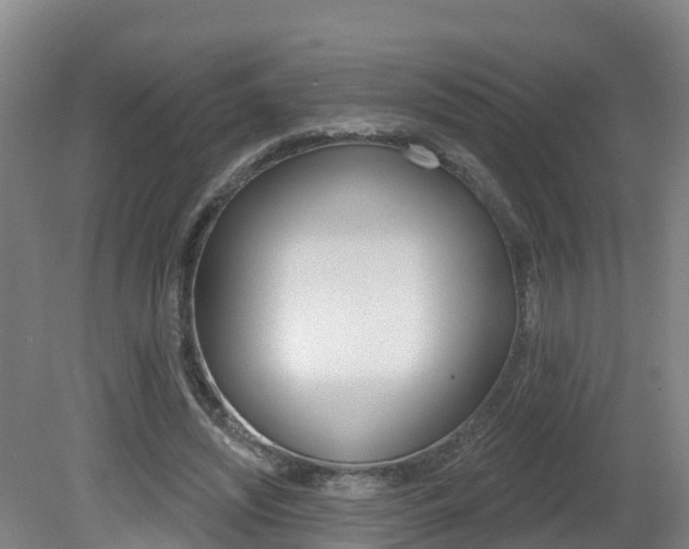 X0000082180444200701191057
