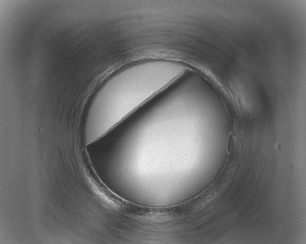 X0000082180445200701191057