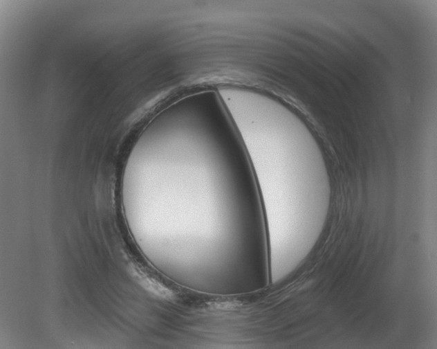X0000082180446200701191057