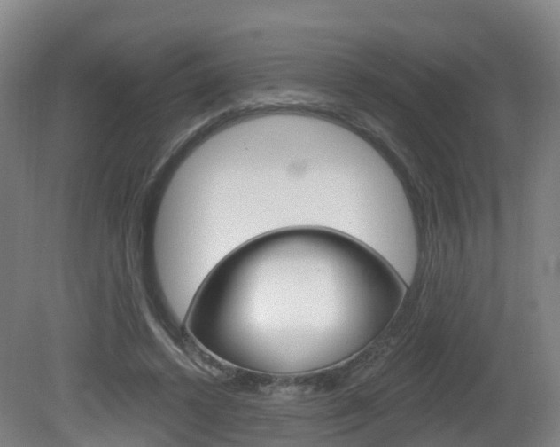 X0000082180448200701191057