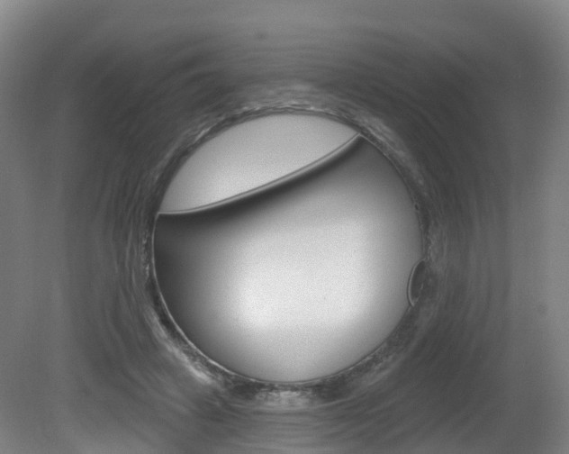 X0000082180449200701191057