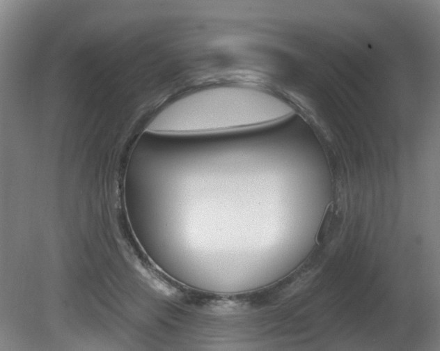 X0000082180453200701191057