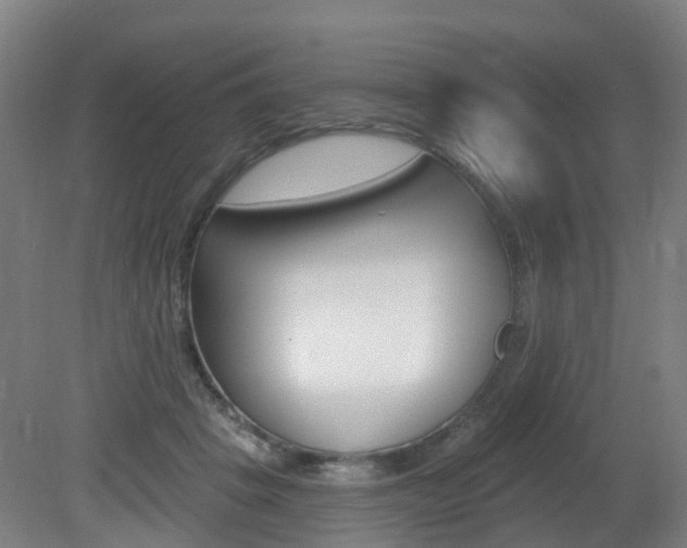 X0000082180457200701191057