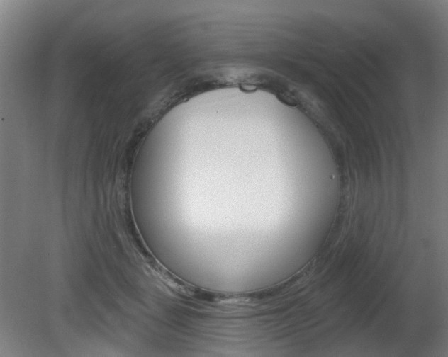 X0000082180461200701191057