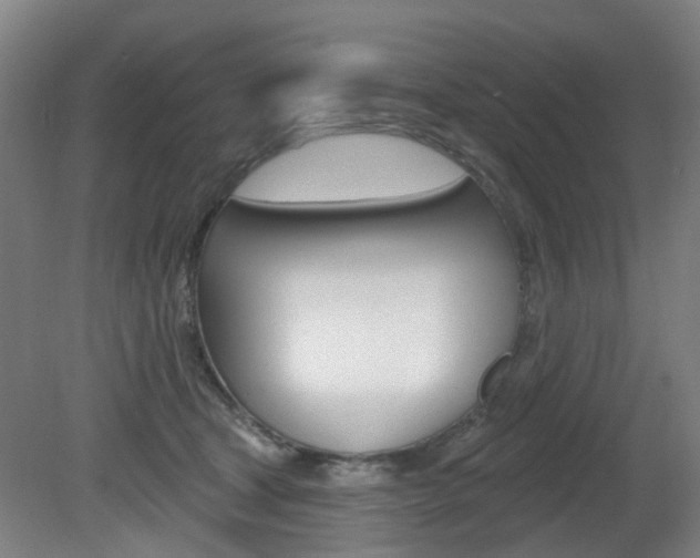 X0000082180465200701191057