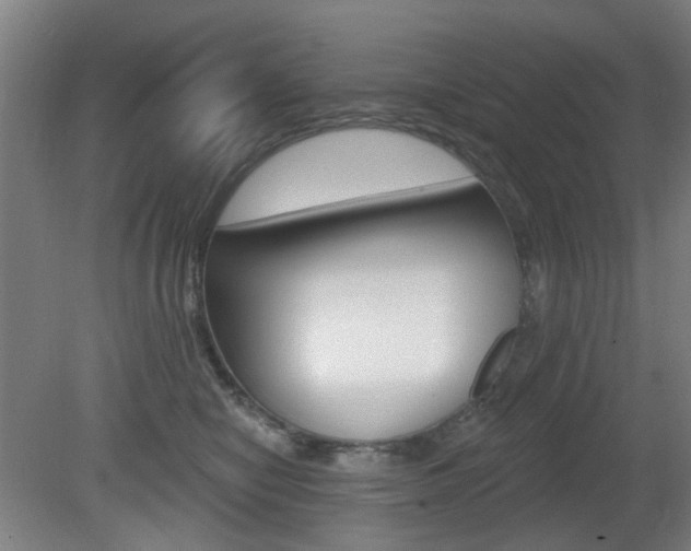 X0000082180470200701191057