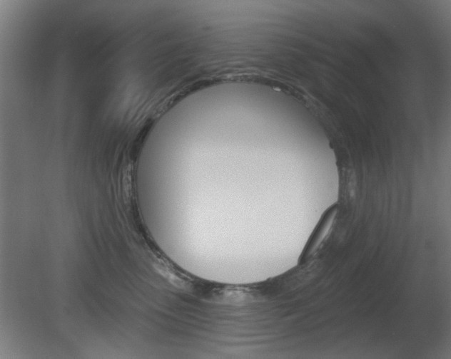 X0000082180475200701191057