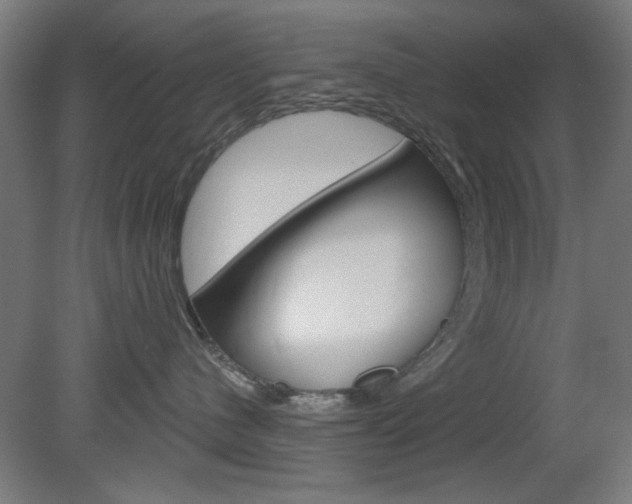 X0000082180480200701191057