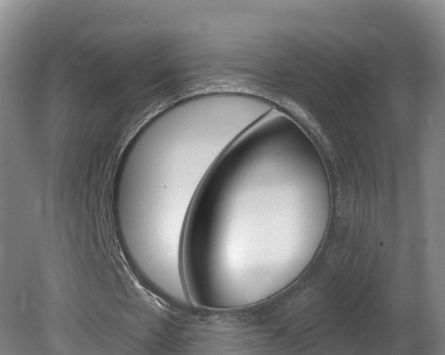 X0000082180481200701191056