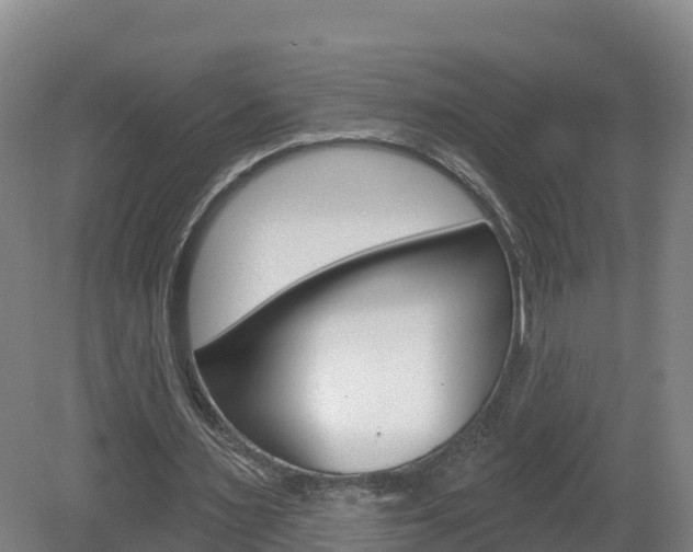 X0000082180483200701191056