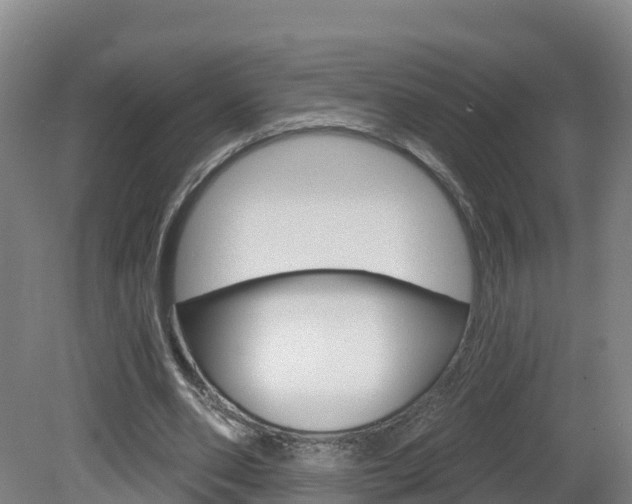 X0000082180486200701191056