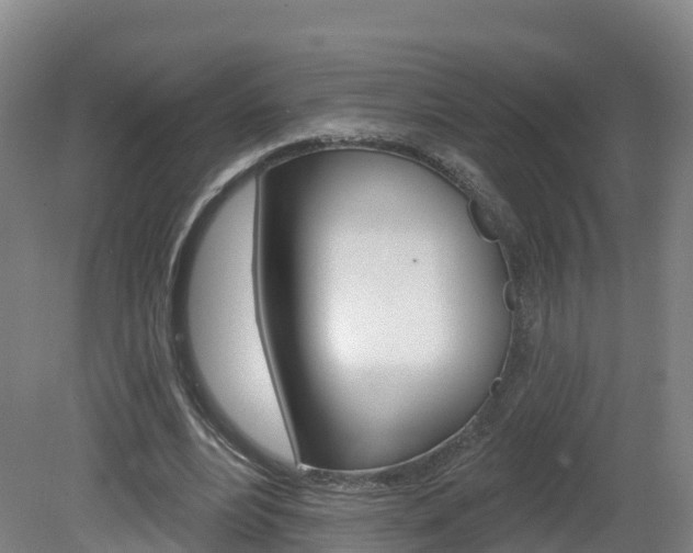 X0000082180488200701191056
