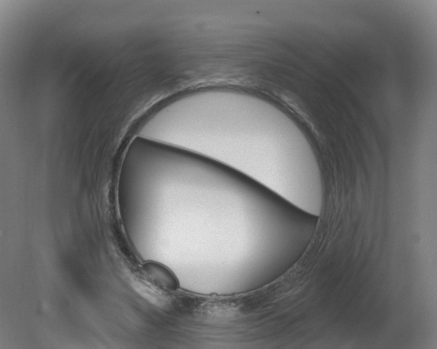 X0000082180491200701191056