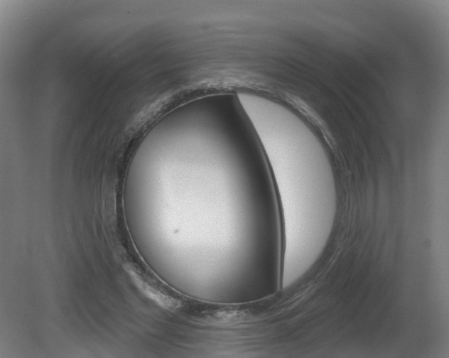 X0000082180493200701191056