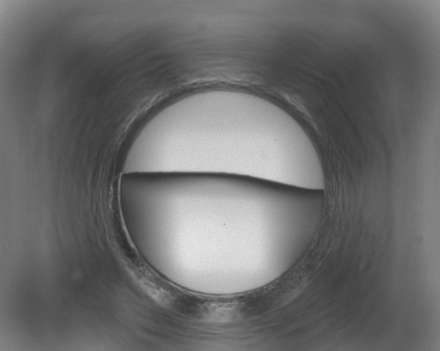 X0000082180495200701191056