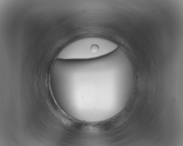 X0000082180498200701191056