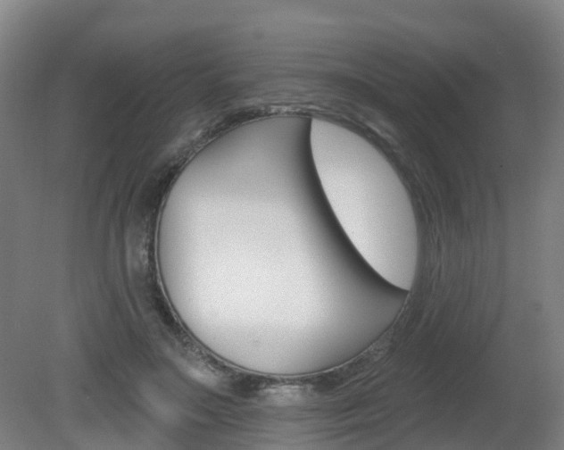 X0000082180499200701191056