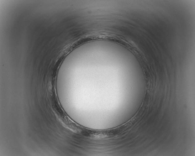 X0000082180500200701191056