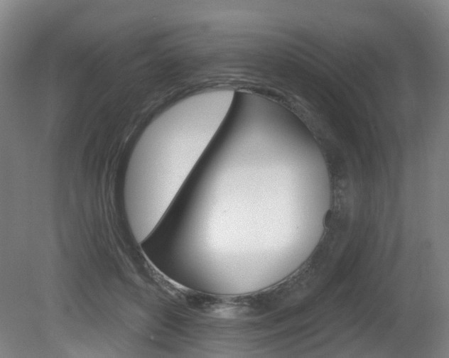 X0000082180504200701191056