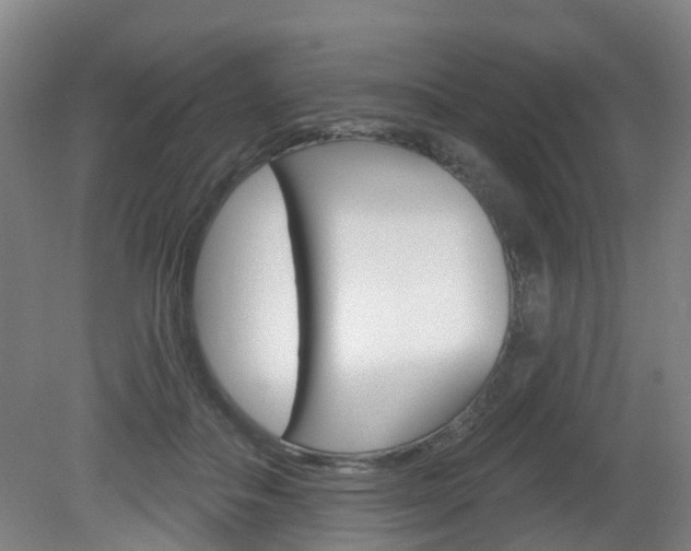 X0000082180506200701191056