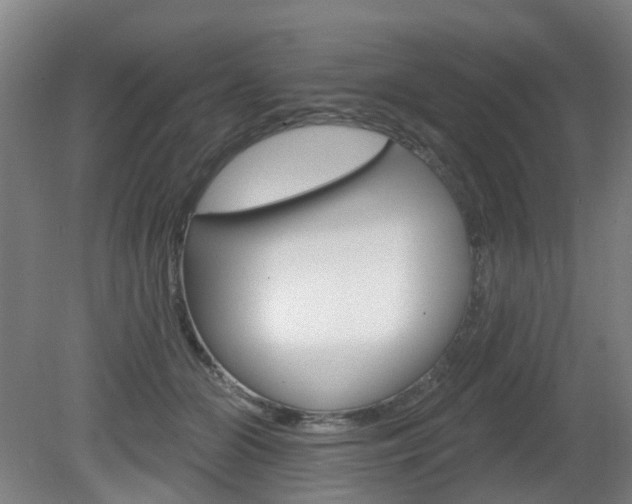 X0000082180510200701191056