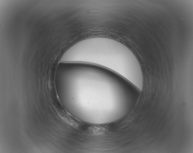 X0000082180512200701191056