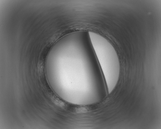 X0000082180513200701191056