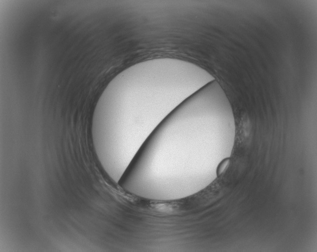 X0000082180522200701191056