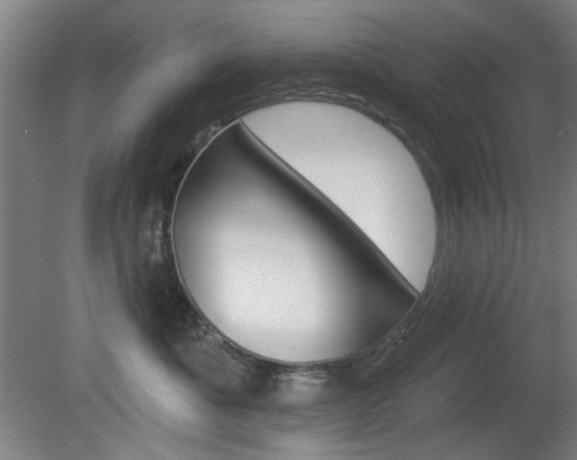 X0000082180525200701191056